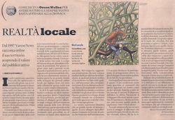 articolo marco sole 24 ore